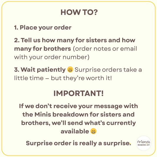 Surprise Style Pre-Order – Minis with 3, 4 and 6 pockets