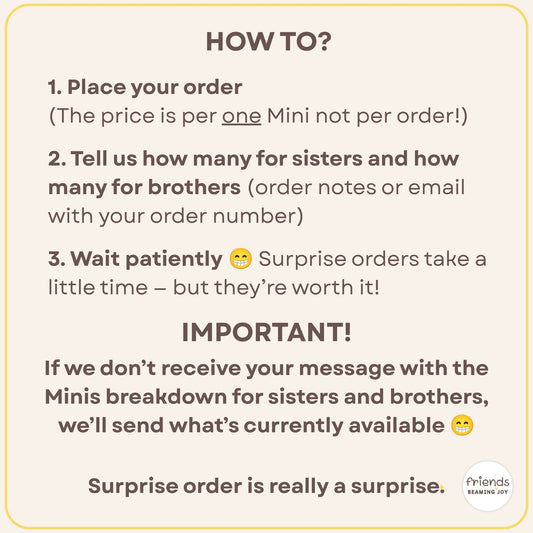 Cloth Pouch JW Mini Tract Organizer, Surprise Style Pre-Order, Price per Mini